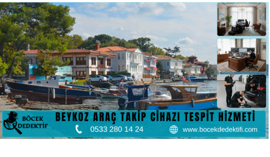 Beykoz Böcek Arama Hizmeti