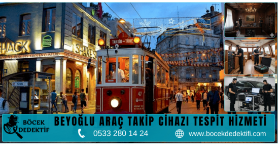 Beyoğlu Böcek Arama Hizmeti