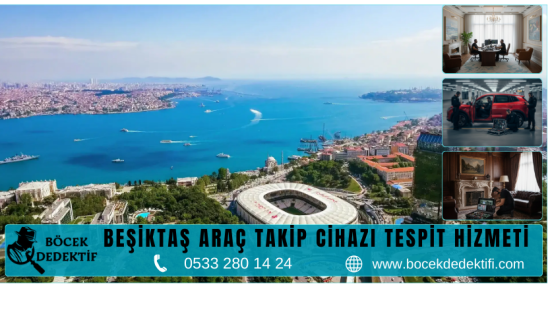 Beşiktaş Böcek Arama Hizmeti