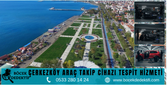 Çerkezköy Böcek Arama Hizmeti