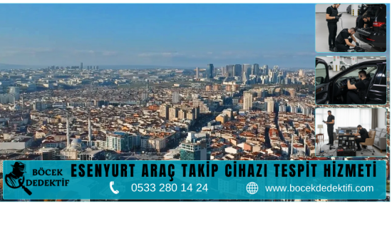 Esenyurt Böcek Arama Hizmeti