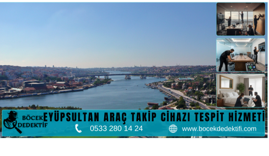 Eyüpsultan Böcek Arama Hizmeti