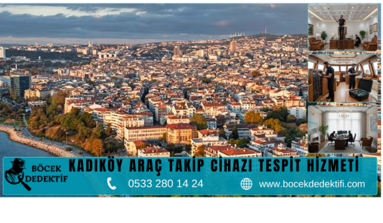 Kadıköy Böcek Arama Hizmeti