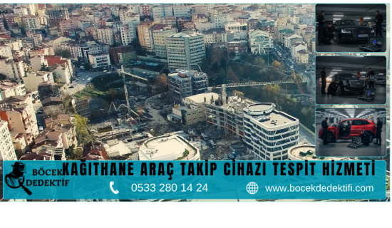 Kağıthane Böcek Arama Hizmeti