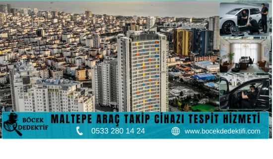 Maltepe Böcek Arama Hizmeti