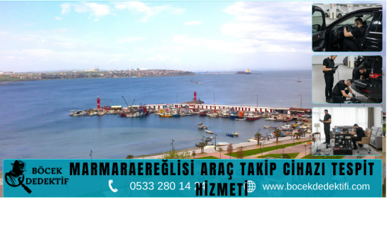 Marmaraereğlisi Böcek Arama Hizmeti