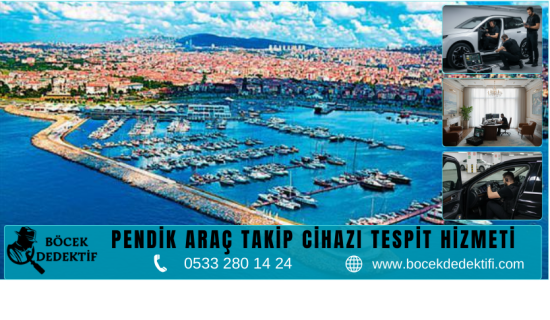 Pendik Böcek Arama Hizmeti