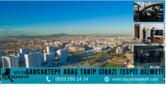 Sancaktepe Böcek Arama Hizmeti