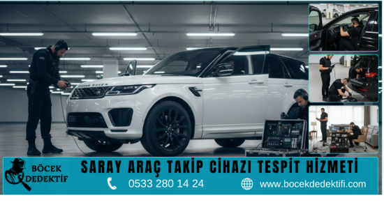 Saray Böcek Arama Hizmeti