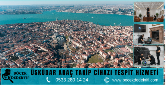 Üsküdar Böcek Arama Hizmeti