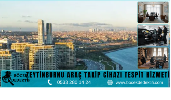 Zeytinburnu Böcek Arama Hizmeti