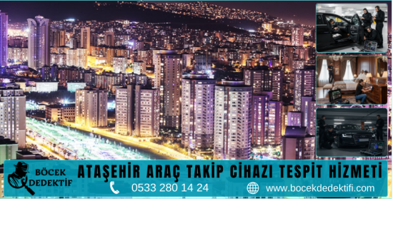 Ataşehir Böcek Arama Hizmeti