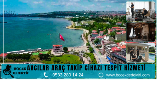 Avcılar Böcek Arama Hizmeti