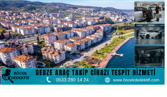 Gebze Böcek Arama Hizmeti