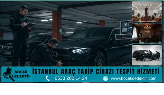 İstanbul Böcek Arama Hizmeti