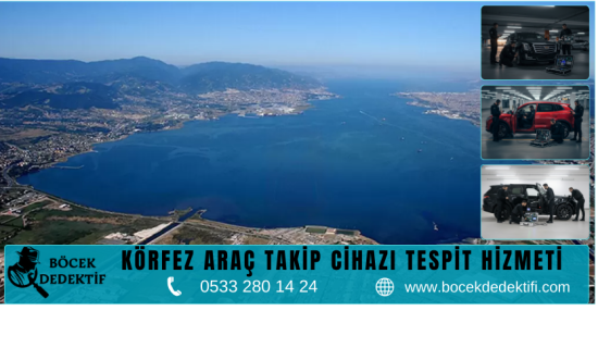 Körfez Böcek Arama Hizmeti