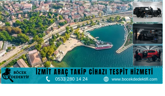 İzmit Böcek Arama Hizmeti