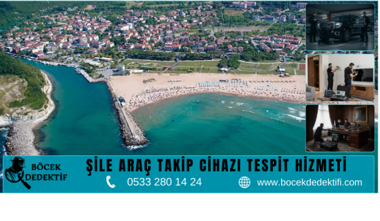 Şile Böcek Arama Hizmeti