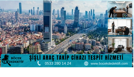 Şişli Böcek Arama Hizmeti